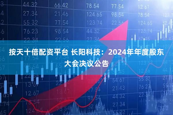 按天十倍配资平台 长阳科技：2024年年度股东大会决议公告